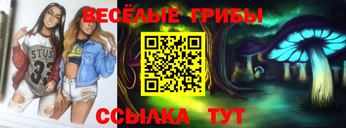 Галлюциногенные грибы Cubensis Амурск
